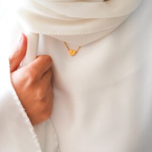 apparition discrère d'un petit médaillon gravé d'une lettre arabe, sous un voile blanc