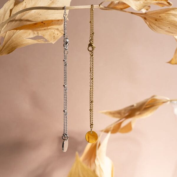 deux bracelet suspendu à une branche, couleur or et argent - Papillon et Libellule