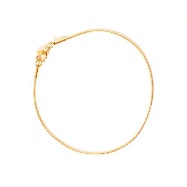 Bracelet fin élégant, doré, sur fond blanc